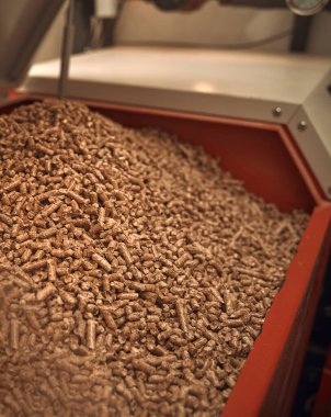 Kazan dairesinde yakıtlı katı yakıt kazanı. Ahşap pelet ısıtma sobası.