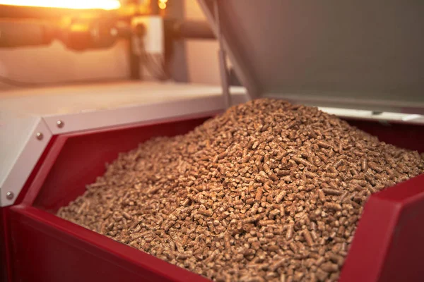 Pellet boiler system. Biomass heating systems generate heat from biomass. Renewable energy and sustainable future