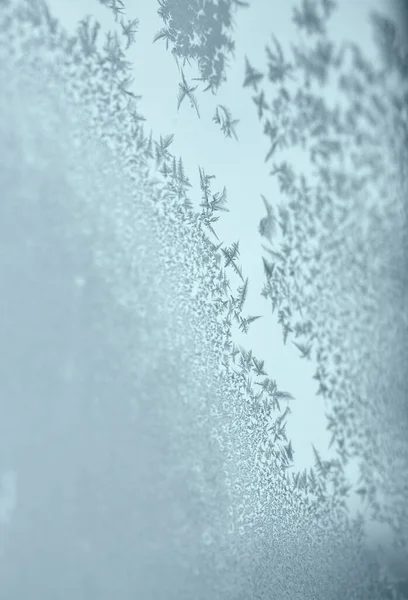 hoar frost on the glass window. problems with interior windows during winter frosts.