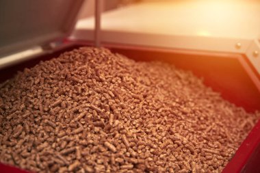 Kazan dairesinde yakıtlı katı yakıt kazanı. Ahşap pelet ısıtma sobası.