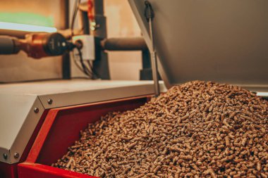 Kazan dairesinde yakıt deposu dolu katı yakıt kazanı. Ahşap pelet ısıtma sobası. Yenilenebilir biyo-enerji ısıtma.