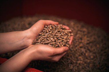 hands full of wood pellets. Concept of renewable energy for sustainable future.