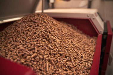 Kazan dairesinde yakıt deposu dolu katı yakıt kazanı. Ahşap pelet ısıtma sobası. Yenilenebilir biyo-enerji ısıtma.