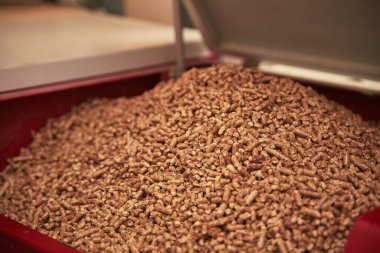 Close-up of a red color pellet oven in the household. Wooden pellet boiler room