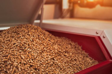 automatic pellet burner system. living house heating boiler system for winter season. concept of sustainability and alternative energy fuel