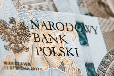 Close up on national polish bank of new Polish banknote. Macro photo of narodowy bank polski sign on PLN bill. Shallow focus. Close-up with fine and sharp texture