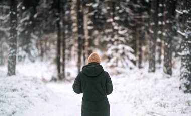 A person walks in a snow-covered forest on a sunny winter day. Hiking after snowstorm