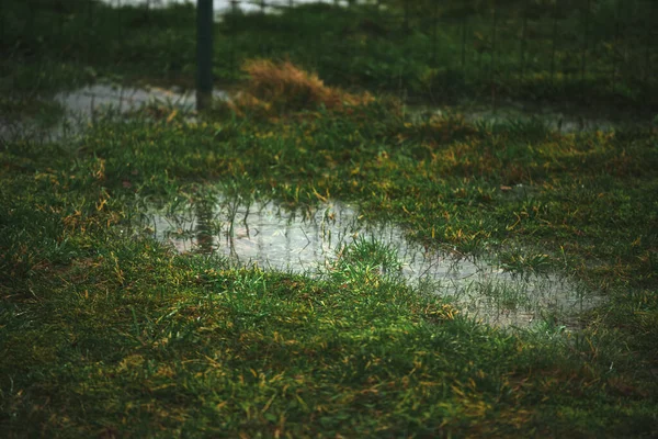 stock image water on the ground. sewage and draining problems. heavy rain in rural areas with water puddles on the soil