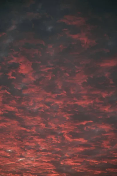 Sunset Sky Vivid Orange Gradients Clouds Rural Area Pine Trees — 스톡 사진