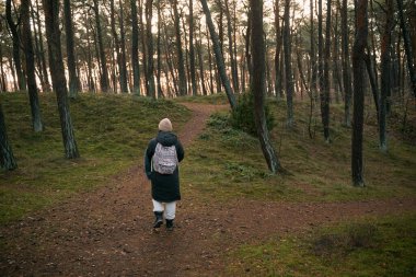 Sırt çantalı bir kadın parkta yürüyor. Yalnız seyahat etme ve dışarıda keşfetme kavramı. Ormandaki kişi.