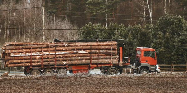Κορμοί Κορμού Δένδρων Φορτωμένοι Φορτηγό — Φωτογραφία Αρχείου
