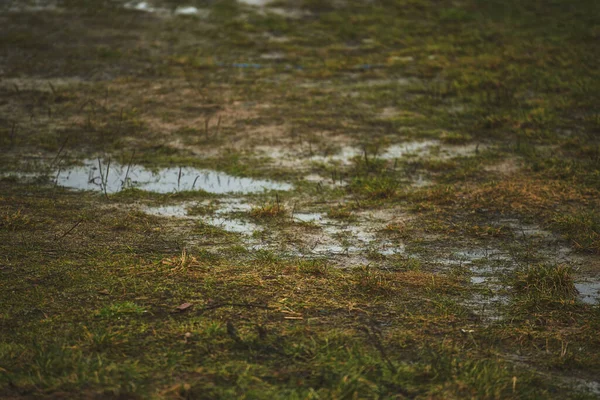 Waterplassen Het Gras Grind Klei Kunnen Regenwater Niet Opnemen — Stockfoto