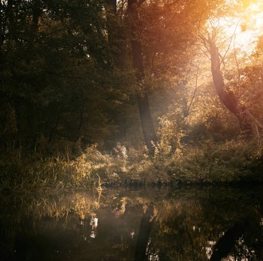 Güneş ışığıyla güzel bir göl manzarası. Ormandaki nehirle birlikte cennet manzarası.