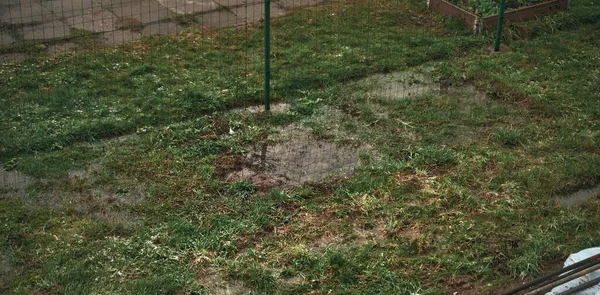 Kałuże Wody Trawie Żwir Glina Nie Mogą Wchłonąć Wody Deszczowej — Zdjęcie stockowe