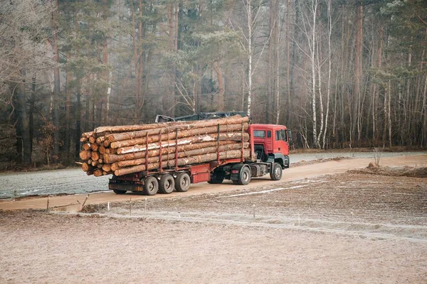 トラックに積み込まれた木の幹のログ — ストック写真