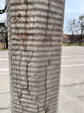 Açık havada çatlamış beton bir direk. Yıpranmış altyapı beton dokusu.