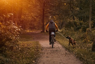 Halka açık bir parkta köpekle bisiklet sürmek