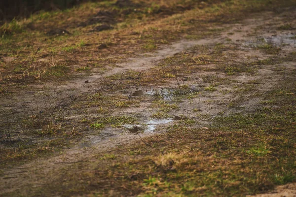 Regenentwässerung Und Abwasserprobleme Hydrophobe Und Trockene Böden Nehmen Kaum Wasser — Stockfoto