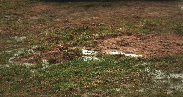 Лужи Воды Траве Гравий Глина Могут Поглощать Дождевую Воду — стоковое фото