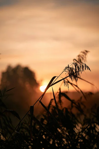 stock image Sunrise over the river. Concept of early waking and new beginning