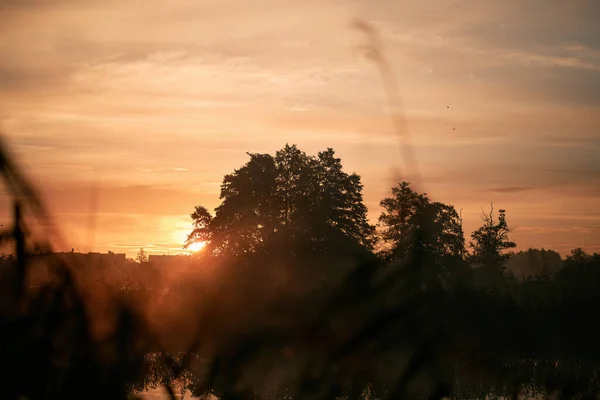 Wschód Słońca Nad Rzeką Pojęcie Wczesnego Przebudzenia Nowego Początku — Zdjęcie stockowe