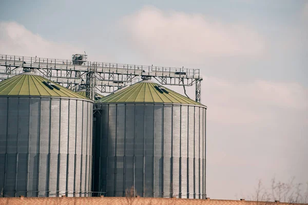 緑の屋根を持つ大規模な穀物貯蔵タンクがフィールドに座っている — ストック写真