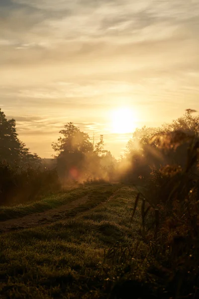 霧の朝の経路 田舎の初夏の朝の概念 — ストック写真