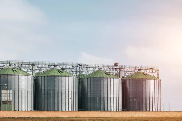 A large grain storage tank with a green roof sits in a field.