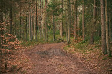 Çimlerin üzerindeki su birikintileri. Çakıl ve kil yağmur suyunu ememez..