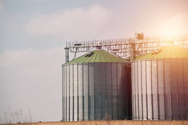 Tarlada tahıllı Sillolar. Tahıl, buğday, mısır, soya ve ayçiçeği depolama ve kurutma için tarım siloları.