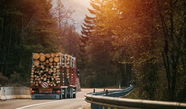 Transport Drewna Drewna Opałowego Drogach Krajowych Transport Samochodów Ciężarowych Specjalnymi — Zdjęcie stockowe