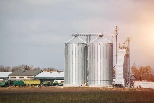 フィールドに穀物とサイロ トウモロコシ 大豆及びひまわりの貯蔵及び乾燥のための農業用サイロ — ストック写真