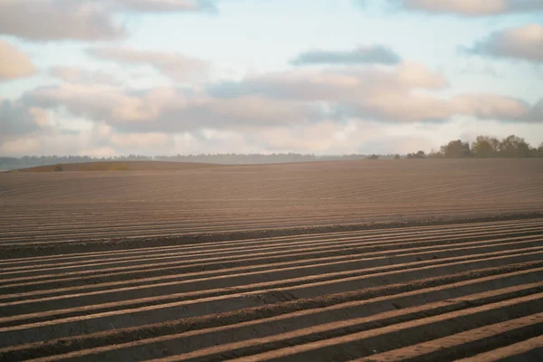 Close Van Bodem Van Landbouwgrond Ongebruikt Plantageveld Landschap Landschap Een — Stockfoto