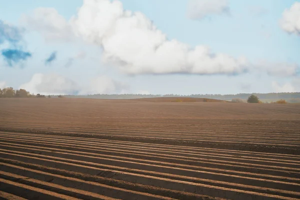 Campo Non Piantato Mattino Terreni Agricoli Nel Paese Primo Piano — Foto Stock