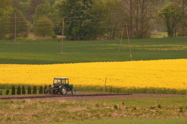 Traktor Stříkající Pesticidy Pole Postřikovačem Jaře Zemědělská Pole Jaře Koncepce — Stock fotografie