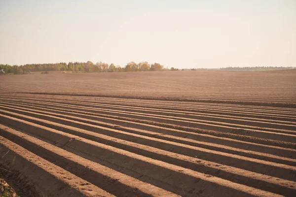 Närbild Jorden Jordbruksmarken Oanvänt Plantagefält Landskap Landskap Äng Jord — Stockfoto