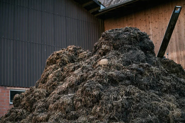 stock image A big pile of dung. Pile of manure on an agricultural field for growing bio products