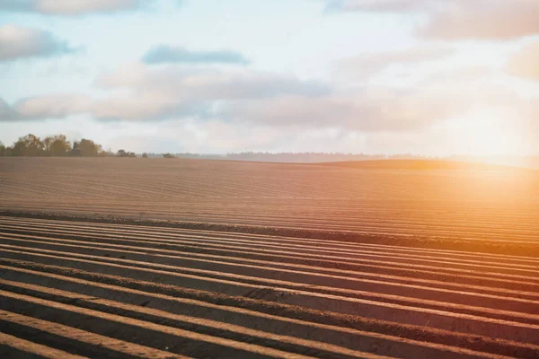 Een Ongeplant Veld Ochtend Boerderij Het Platteland Oppervlakte Close — Stockfoto