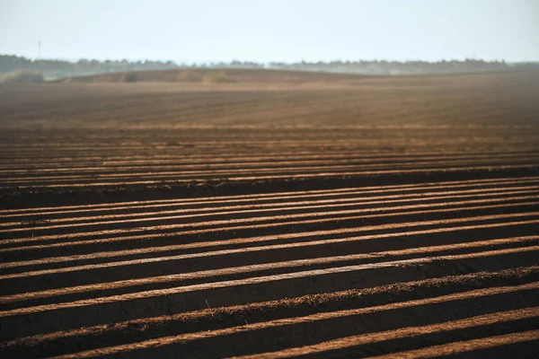 Ett Oplanterat Fält Morgonen Jordbruksmark Landet Närbild Mark — Stockfoto
