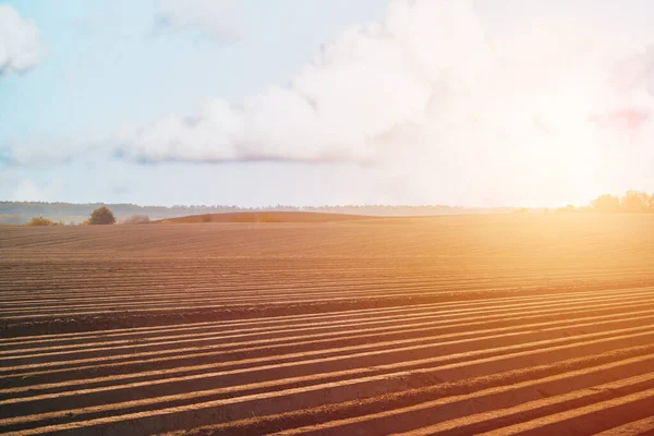 Landbouwgrond Onder Een Prachtige Hemel Bij Zonsopgang Landelijke Gebieden Platteland — Stockfoto