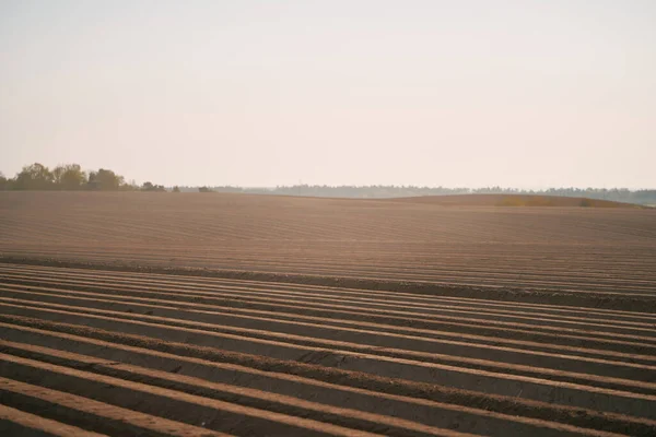 Terra Agrícola Sob Belo Céu Nascer Sol Áreas Rurais Campo — Fotografia de Stock