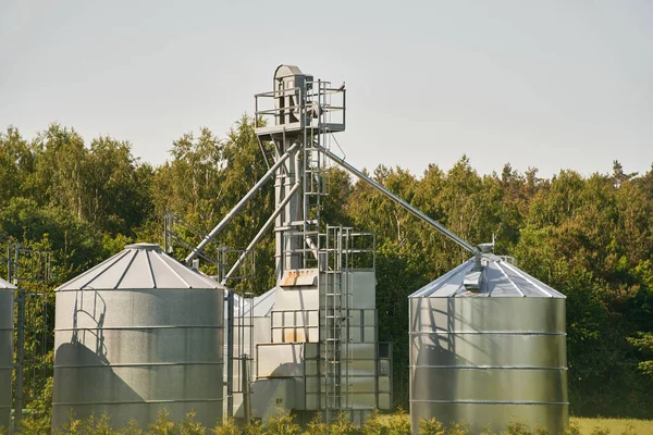 農業ビジネスの風景です 鉄鋼農業用サイロ 建物の外観 トウモロコシ ひまわりの貯蔵及び乾燥 — ストック写真