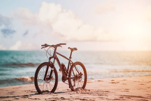 Bicicleta Moderna Praia Vida Férias Conceito Recreação Fitness Motivação Esportes — Fotografia de Stock