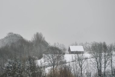 Kırsal kesimde rahat bir ev. Orman manzarası uzakta küçük, rahat, kırsal bir kır evi var. Kırsalda ücra bir ev..
