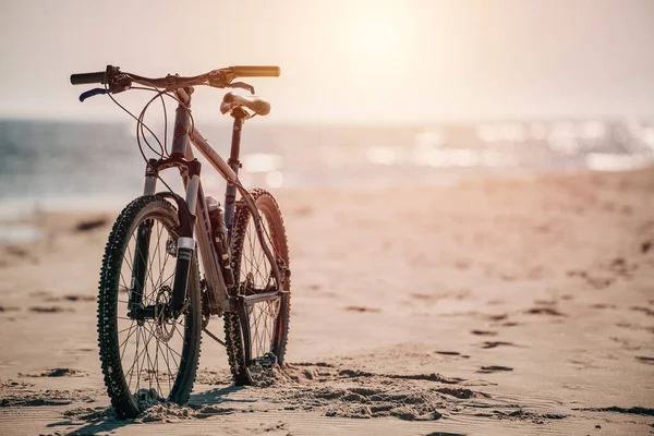 2023 Mar Báltico Europa Polónia Bicicleta Praia Areia Litorânea Fitness — Fotografia de Stock