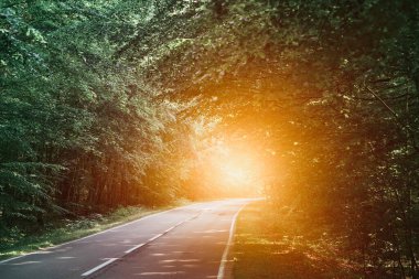 Yazın ormanda boş asfalt yolu olan bir manzara. Güzel kırsal asfalt yol manzarası. Güzel bir yol. Yeşil yapraklı ağaçlar ve güneşli gökyüzü.