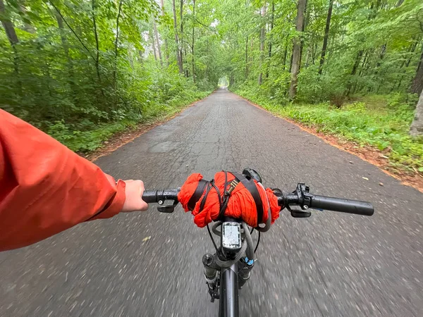 第一眼看到的是在通往阳光的城市森林路上骑自行车 在城外用自行车进行体育和娱乐活动的概念 — 图库照片