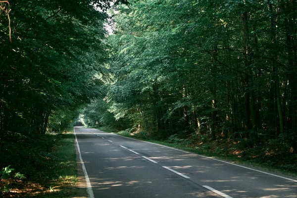 Leere Asphaltstraße Wald Die Schönheit Der Natur Auf Einer Sommerfahrt — Stockfoto