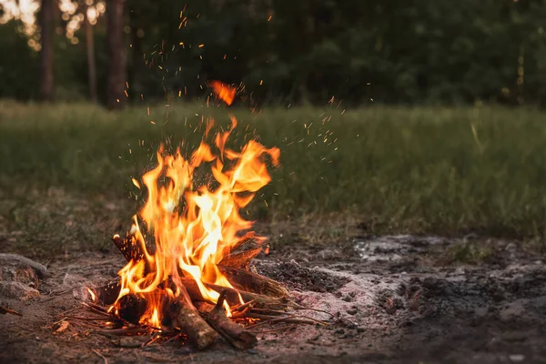 แคมป ไฟในป ไฟไหม ในตอนเย นหล งจากว นในป — ภาพถ่ายสต็อก