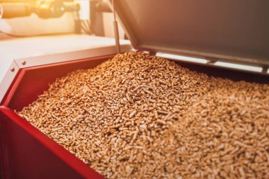 Sürdürülebilir Isıtma Çözümü. Eko-Bilinçli Evler için Ahşap Topak Sobası. Alternatif enerji biyoyakıtı üzerinde çalışan özel bir evde kazan dairesi. Sürdürülebilir Gelecek Konsepti